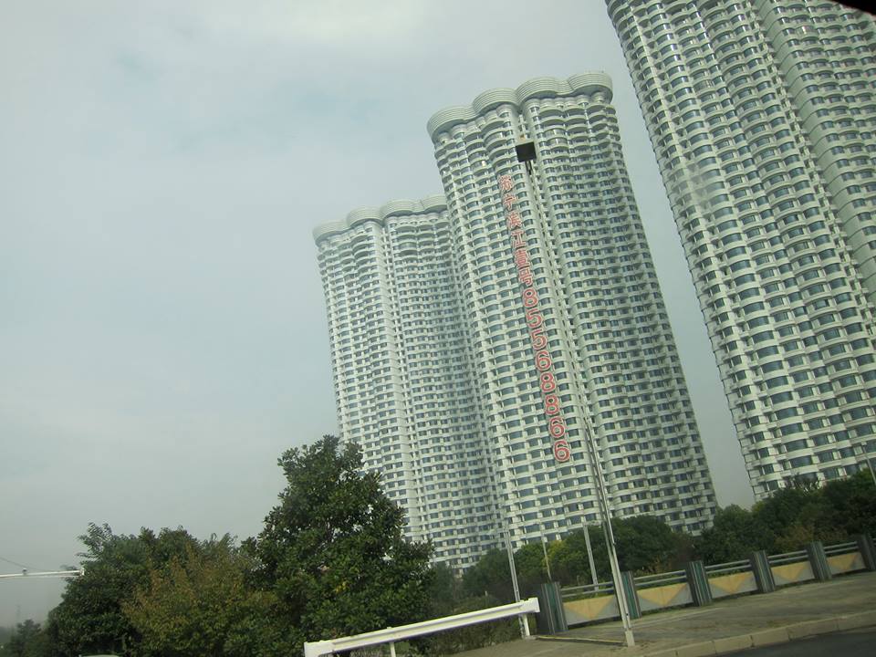 12247149_1769437249950142_7389012139187563367_n